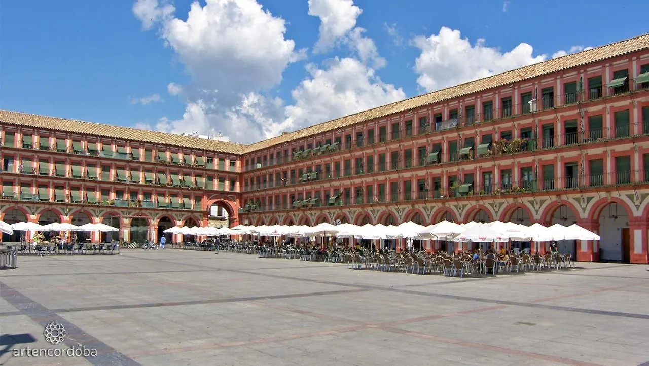 Sunny Holiday Apartment In The Historic Centre- Private Parking Cordoba Spain